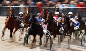 Harness-Racing-006