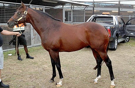 Oratorio