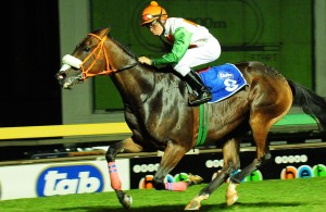 Royal Zulu Warrior wins Lebelo