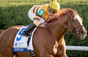 Wise Dan