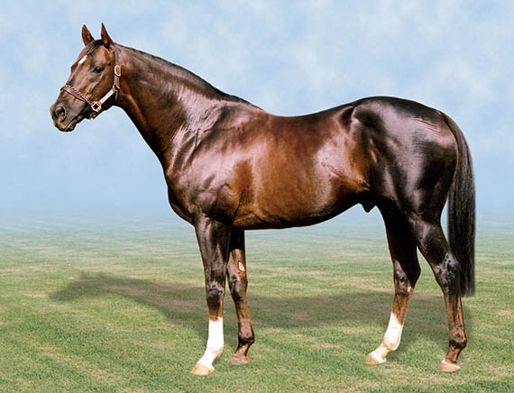 National Emblem, sire of ten Gr1 winners, has died at 21