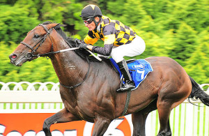 Slumdogmillionaire - Listed Sea Cottage Stakes - Turffontein 2012-01-08 0548