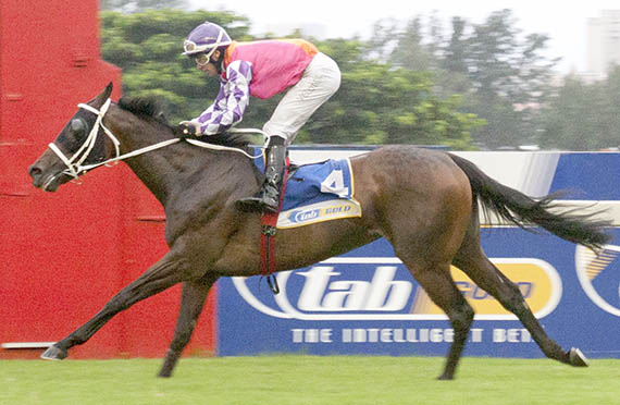 Campanolgist - Greyville 13-01-29