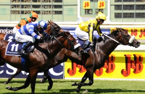 City Slicker! Capetown Noir (Karl Neisius) stays on best to win the Gr1 Investec Cape Derby