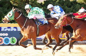 Egyptian - Vaal 120809