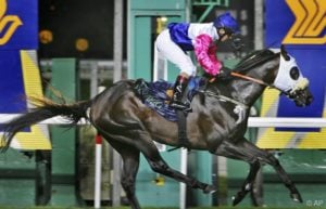 Brilliant! Jay Peg seen winning the $2.2 million Singapore Airlines International Cup on Sunday May 18, 2008 in Singapore