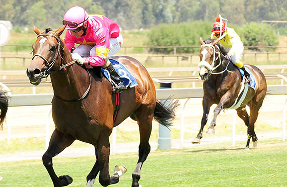 Lockhead Jetstar - Vaal 130124