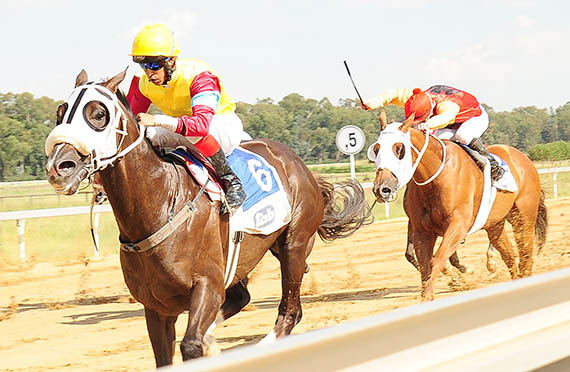 Napoleon Dynamite - Vaal 2013-01-29