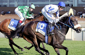 Qin-Wei - Scottsville 12-11-11