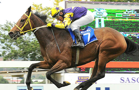 Salutation - Turffontein 10-04-04