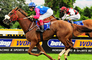 Atlantic Oak - Turffontein 12-02-18