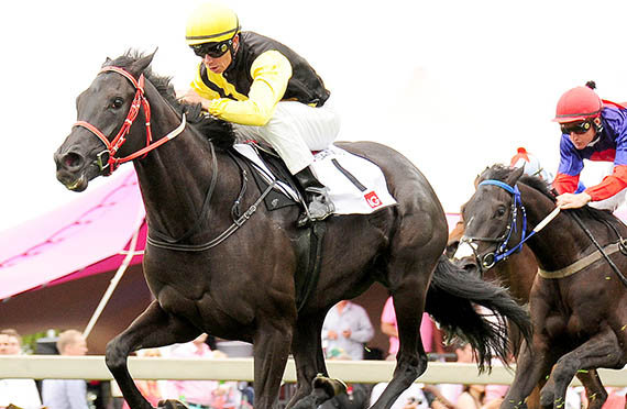 cherry on the top - Gr3 Fillies Mile - hamish - turffontein 2012-12-01_6