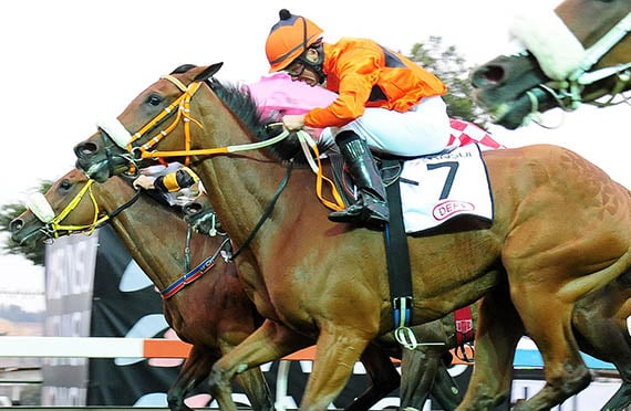 Demanding Lady - Gr2 Ipi Tombe - Turffontein 2012-12-01