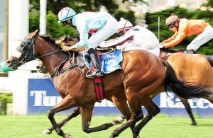 Fantastic Mr Fox - Gr3 Tony Ruffel - Turffontein 2013-02-09