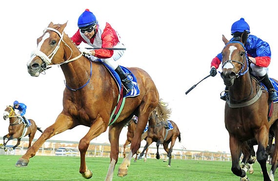 Francois Bernadus - Gr3 Graham Beck Stakes - Turffontein 12-11-03