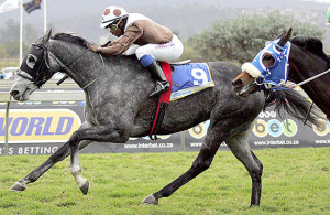 Himalayan Hill - Scottsville 12-07-22
