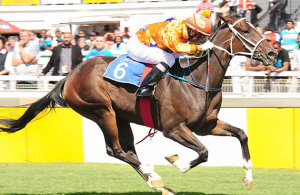 kings temptress - Gr2 SA Fillies Nursery - 2012-04-28