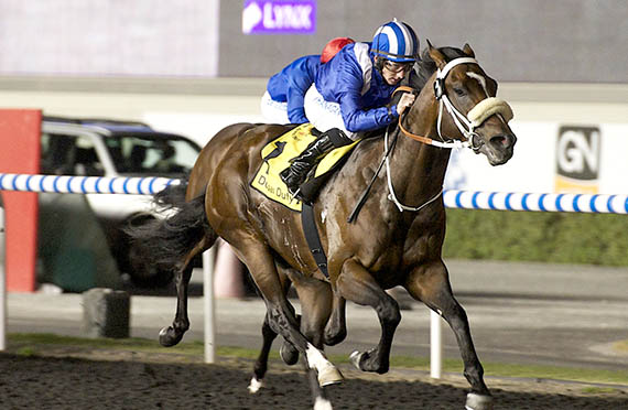 Soft Falling Rain_UAE Guineas Trial