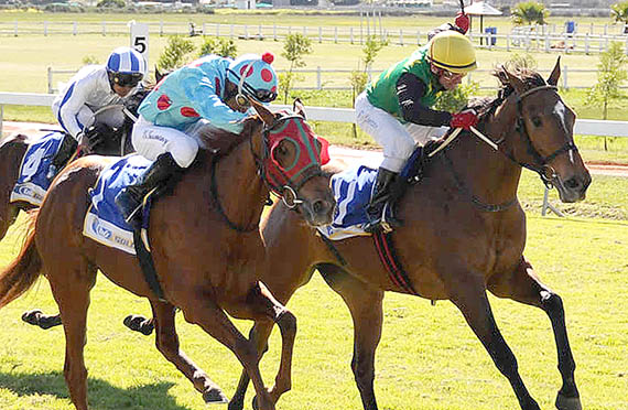 Tudor Star - Durbanville 12-07-18