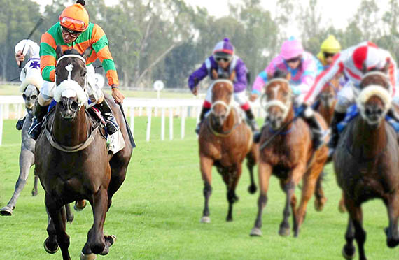 Alcanina - Vaal 2013-02-19