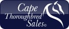 Cape Thoroughbred Sales