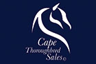 Cape Thoroughbred Sales