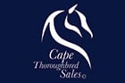 Cape Thoroughbred Sales