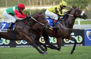 The Cape's Royal. Karl Neisius pilots Cape Royal to an easy win over Pink Martini in the Easter Dash