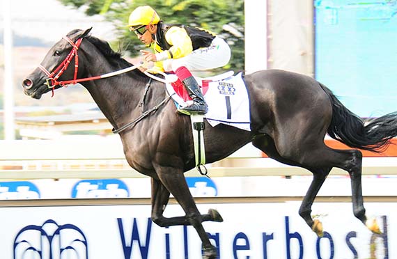 Cherry On The Top, G2 Gauteng Fillies Guineas