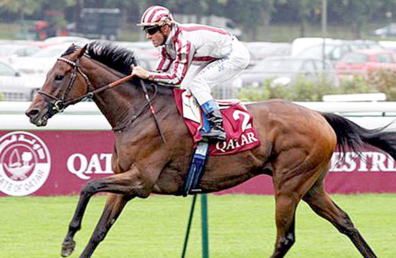 Cirrus Des Aigles (FR)