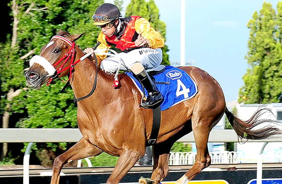 Lady Morgana - Turffontein 2012-12-04