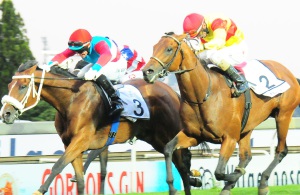 Drama! Love Struck (blue and red) holds off the late challenge of Tellina