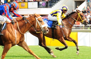 Athletic! Olympic Owen gets up to beat Jimmi Choo in an exciting finish to the Protea Stakes