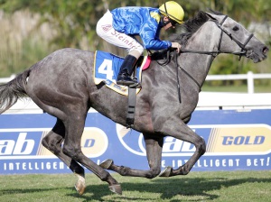 Runaway Grey! Pessoa (Anton Marcus) storms to win the King's Cup