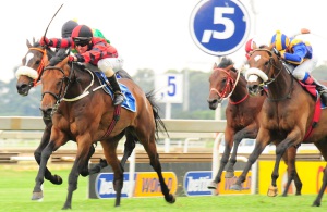 Great Ride! Piere Strydom drives Seal out to win the Listed Aquanaut Handicap