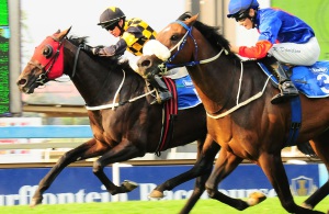 Guts! Slumdogmillionaire(PiereStrydom) gets up on teh inside to beat Whiteline Fever