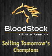 Bloodstock South africa