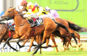 Telling All! Robbie Fradd drives Tellina up on the outside to win the Gauteng Guineas