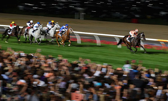Black Caviar Black Caviar's 24th win