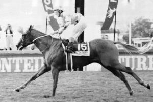 Royal Thunder, 1993 Bloodline Million 