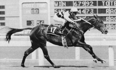 Empress Club - 1993 Gr1 Queen's Plate