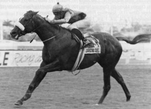 Dancing Duel, 1993 Gr1 SA Guineas