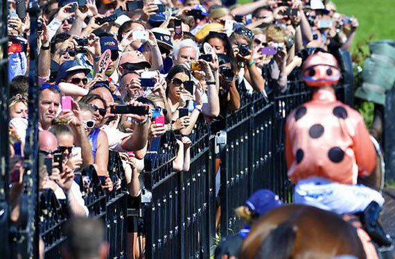 Black Caviar crowds