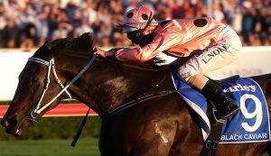 Unbeaten! Black Caviar registers her 25th win in a row.