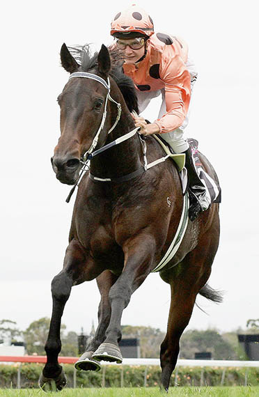 Black Caviar