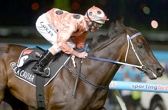 Black Caviar