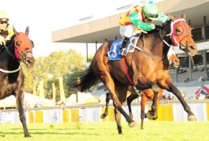Easy Does It! Checcetti (Marco Van Rensburg) finishes full of running to win the Gerald Rosenberg
