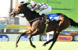 Count The Money! Kinematic Countess (Fanie Chambers) wins the Gr3 Sycamore Sprint in good style