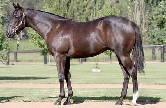 Lot 273 - Colt