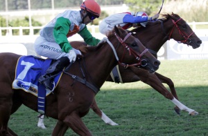 Panic Button! Rpyalsecuritybaby (orange cap) gets up in a thrilling finish to catch Princess Julietta